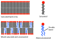 Vorschaubild der Version vom 07:28, 24. Dez. 2008