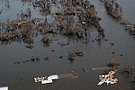 L'ouragan Katrina en Louisiane en 2005