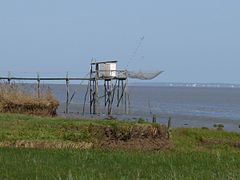 Carrelet de Saint-Christoly-Médoc. Au loin les falaises de Meschers-sur-Gironde, au nord.