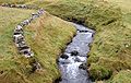 Stream in Gásadalur