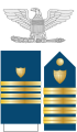 Distintivo per paramano dell'uniforme ordinaria invernale, la controspallina estiva e il fregio da colletto della US Coast Guard