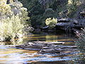 Sungai ngini mangalir matan Woronora Dam, Sydney, Australia.