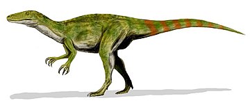 Fukuiraptor.