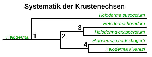 Systematik der Krustenechsen