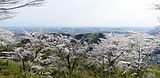 太平山県立自然公園（栃木県栃木市）