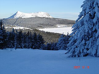 Le mont Mézenc vu depuis les pistes du mont d'Alambre.