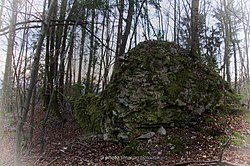 Od mogočnega gradu danes ostal le del zidu