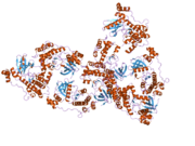 2hak: Catalytic and ubiqutin-associated domains of MARK1/PAR-1