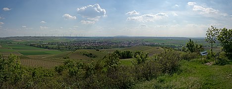 Blick in westliche Richtung über Gau-Odernheim bis zum Donnersberg