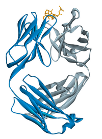 Image illustrative de l’article Alemtuzumab