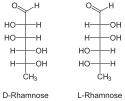 Image illustrative de l’article Rhamnose