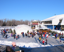 Skating at Dow's Lake.