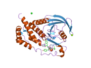 2i4h: Structural studies of protein tyrosine phosphatase beta catalytic domain co-crystallized with a sulfamic acid inhibitor