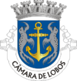 Vlag van Câmara de Lobos