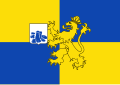 Vlag van Steenderen