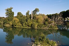 Dans la réserve naturelle régionale des îles de Chelles.