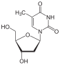 structure chimique de la thymidine