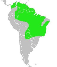 Distribuição geográfica