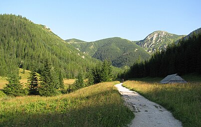 Jaworzynka i widok na Przełęcz między Kopami