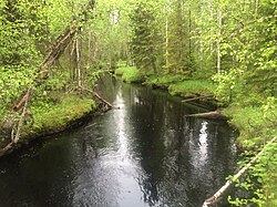 Вид по течению