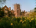 Bank Hall, Bretherton, a Jacobean mansion house, awaiting restoration. Home to Lancashire's oldest Yew tree and one of the two fallen sequoia in the UK.