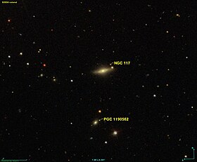 Image illustrative de l’article NGC 117