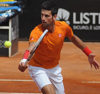 Novak Djoković simplu masculin