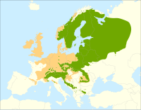 Udbredelsen af P. abies i Europa. Grøn: oprindelig udbredelse. Orange: introduceret. Kryds og trekanter: isoleret population.