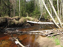 Rauhaluoma lähellä Jokimäentietä, Kauhajoen Hyypässä.