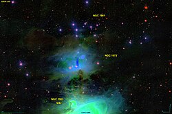 NGC 1981