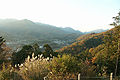 神奈川県立七沢森林公園