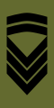 Stabssersjant (Norwegian Army)[34]