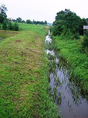 Tenenys Tenenių miestelyje