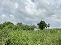 อดีตสถานีรถไฟหนองฟัก ตำบลทุ่งบัว อำเภอกำแพงแสน จังหวัดนครปฐม เปิดเป็นสถานีไม่มีทางสะดวกในวันที่ 16 มิถุนายน พ.ศ. 2506 เดิมชื่อสถานี "ทุ่งขวาง" และเปลี่ยนชื่อสถานีเป็น "หนองฟัก" และยุบลงเป็นที่หยุดรถเมื่อวันที่ 1 พฤศจิกายน พ.ศ. 2515 ปัจจุบันไม่มีขบวนรถไฟจอดแล้ว