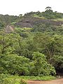 Coves al turó