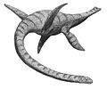 Plesiosaure