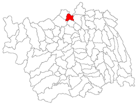 Location in Bacău County