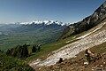 Frümseralp mit Sicht Richtung Grabs