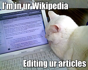 A cat editing Wikipedia