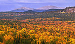 South Ural Zapovednik