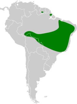 Distribución geográfica del colibrí cornudito.