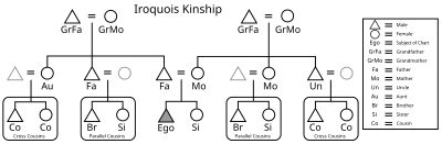 Graphic of the Iroquois kinship system