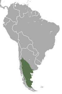 Distribución de Zaedyus pichiy