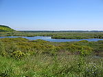 Lake in a landscape with low vegetation.