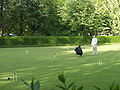 Croquet players