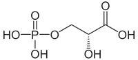 Strukturformel von 3-Phosphoglycerinsäure