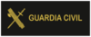 Actual Divisa de guardia civil (2011-presente)