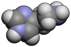 Image illustrative de l’article Histamine