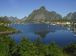 Reine