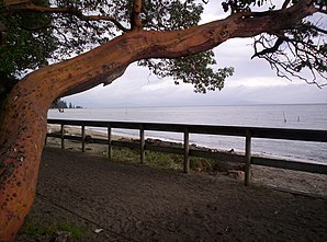 Die Tigh-Na-Mara Beachfront